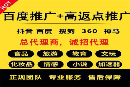 SEM主管实战：案例分析与优化策略